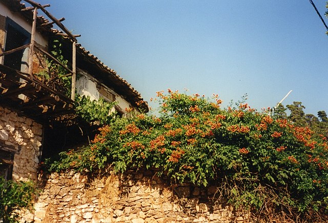 Parthenonas,_Sithonia,_Chalkidiki.jpg