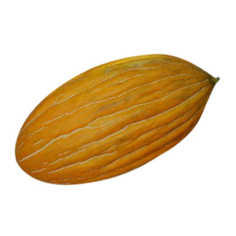 melon_argos.jpg