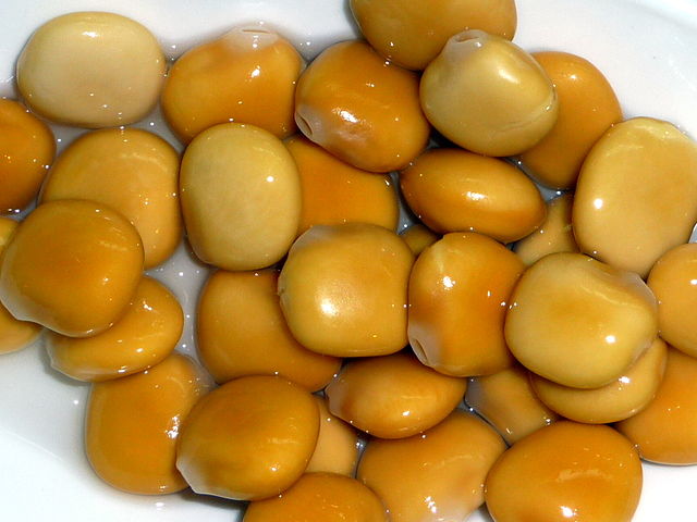 lupins.jpg
