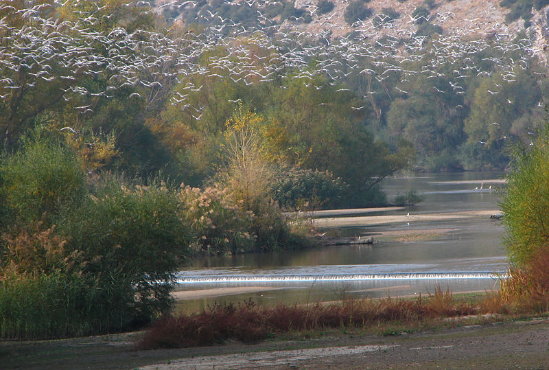 greece-road-trip-nestos-river.jpg