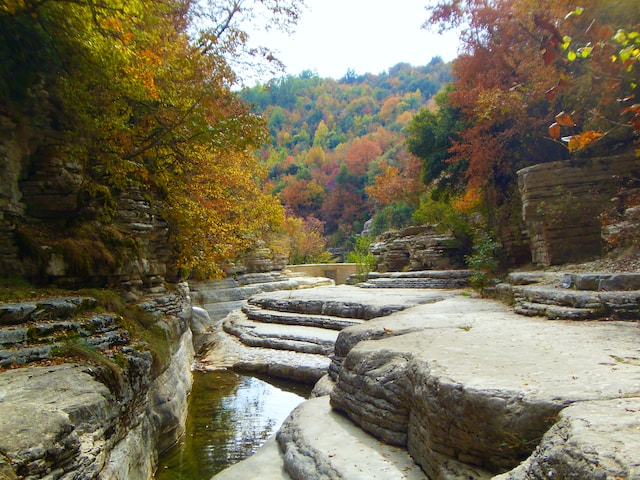 feri-tasos-kolybithres-papigo.jpg