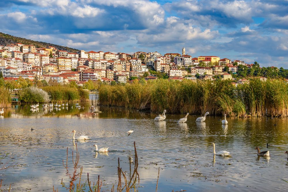 the town of kastoria overlooking lake orestiada with swans, ducks and gooses swimming around