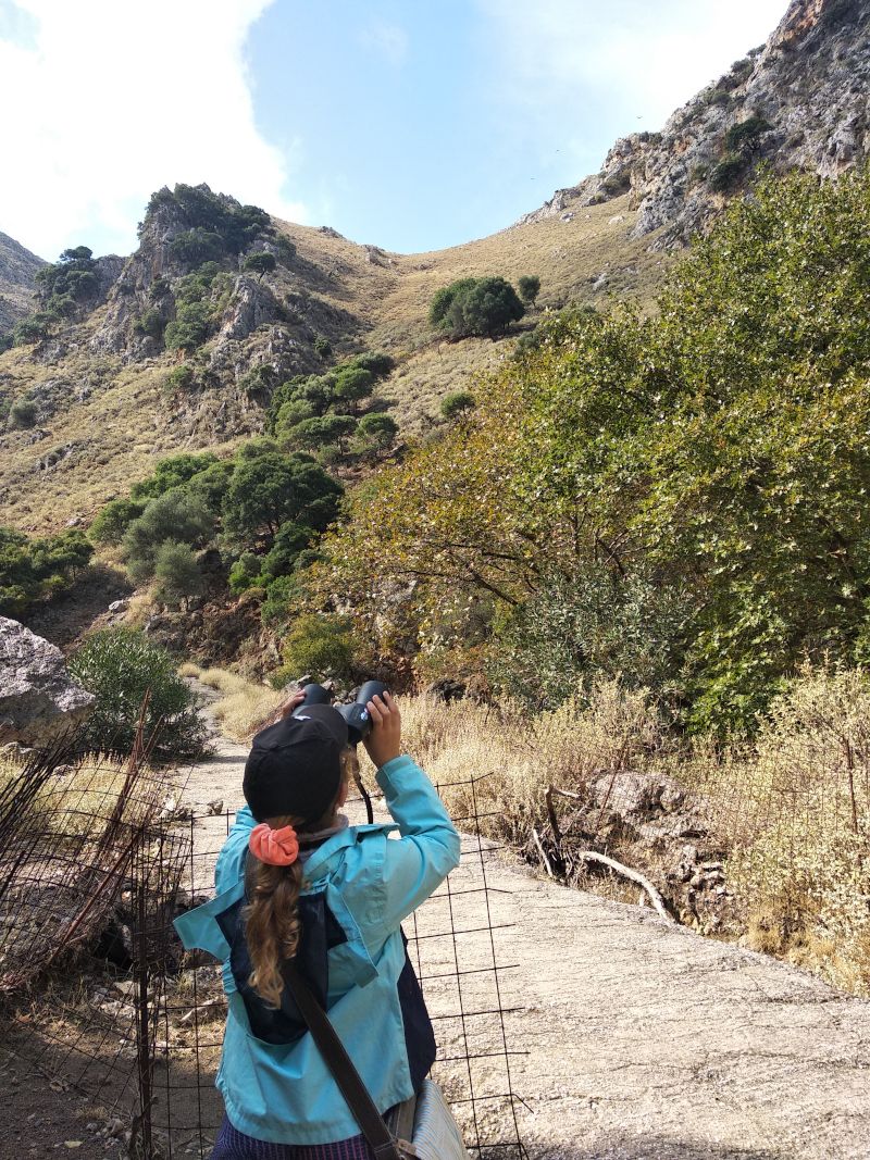 a girl watching birds with binoculars in Deliana gorge Crete