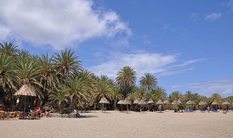 vai-palm-forest-crete-1.jpg