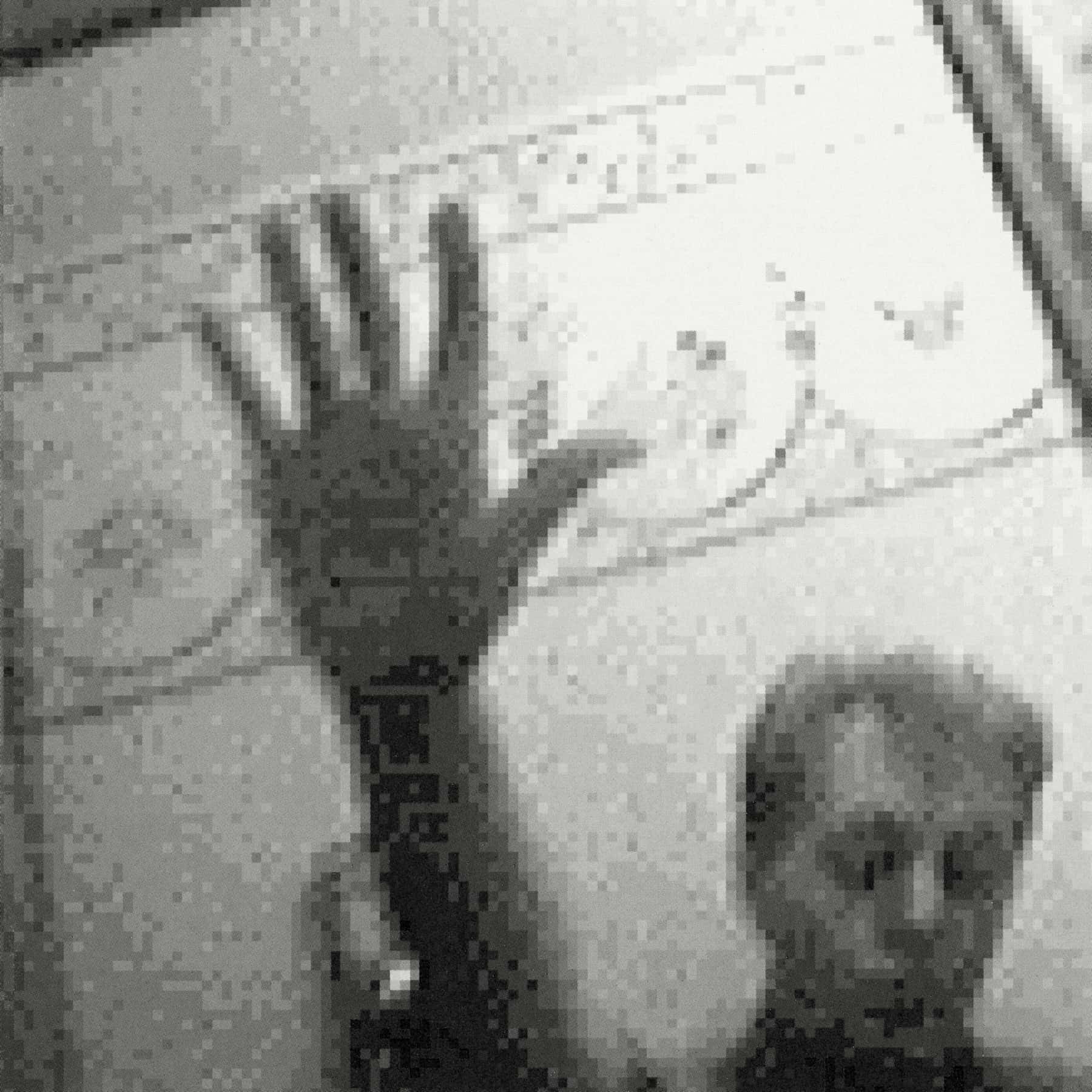 paul mccartney driving rain (RARE SET!!） Paul McCartney | Driving Rain