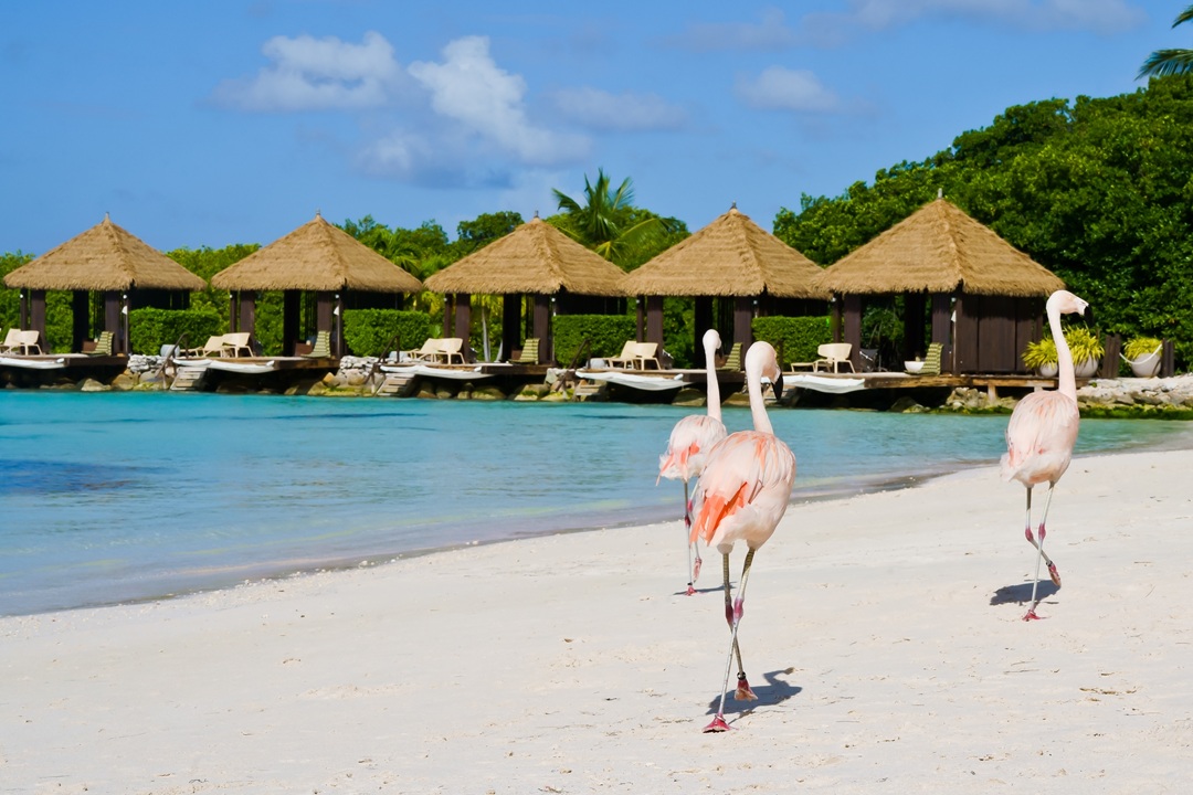 aruba offshore banking.jpg