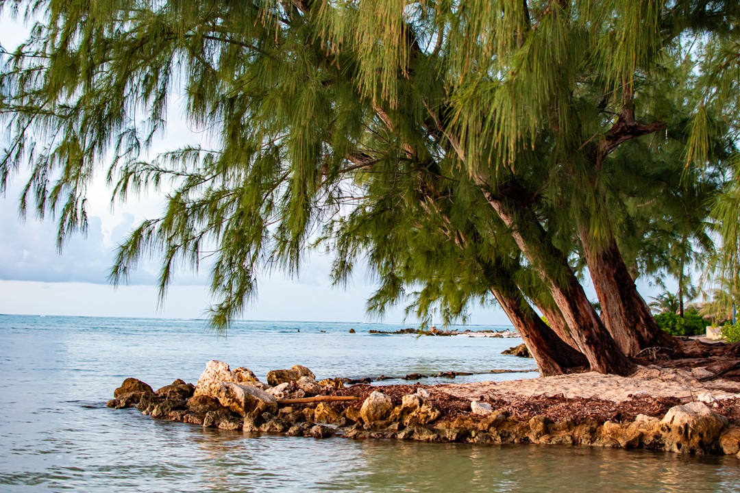 cayman islands saving account.jpg