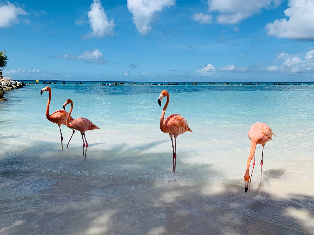 offshore account in curacao.jpg