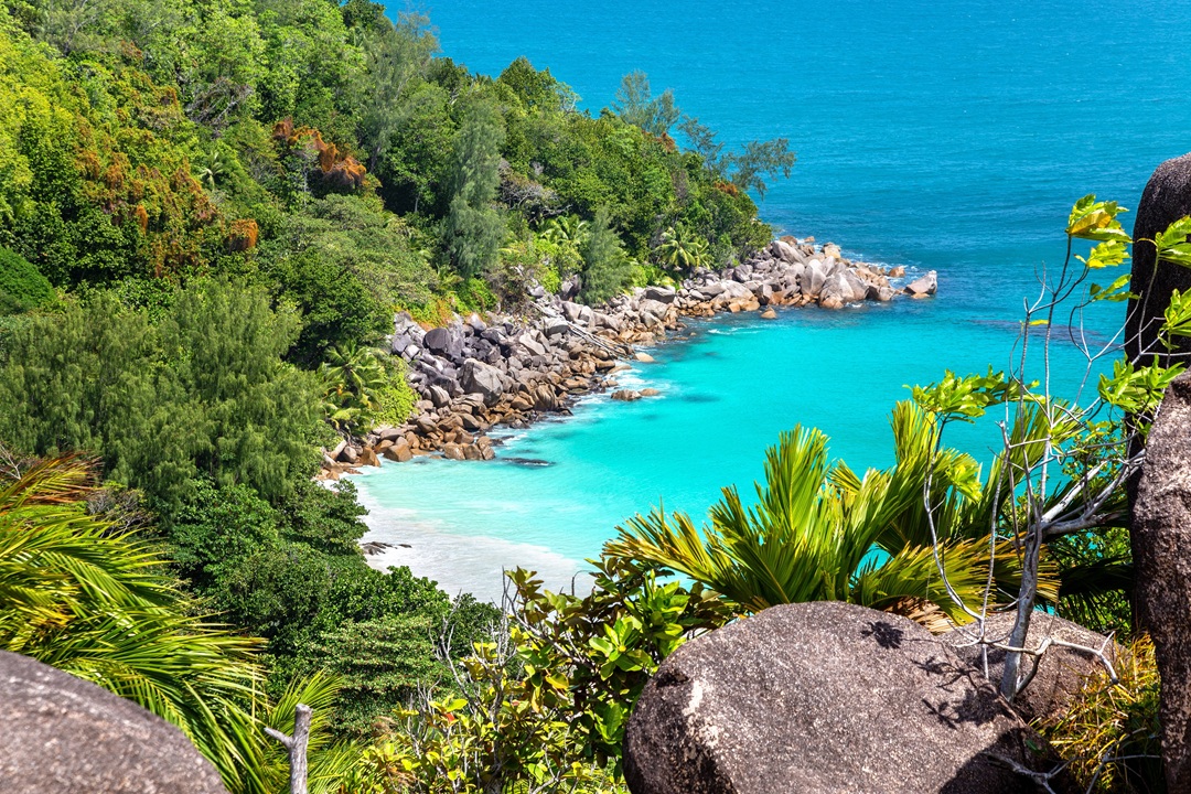 seychelles offshore banking account.jpg