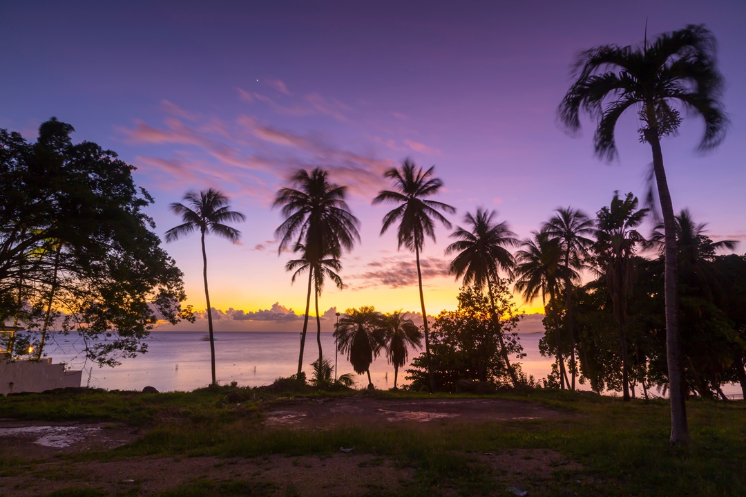 barbados international banking account.jpg