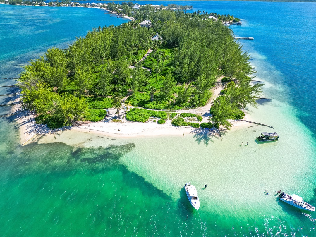 forex license in cayman.jpg