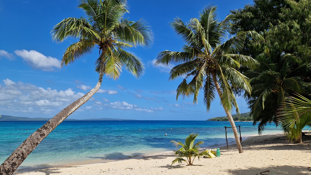 vanuatu forex trading.jpg