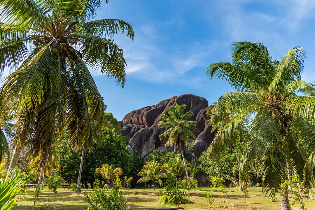 seychelles forex license.jpg