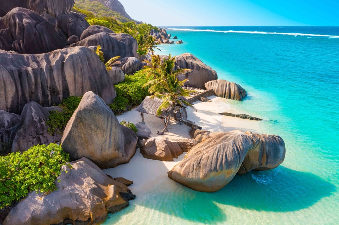 seychelles forex.jpg