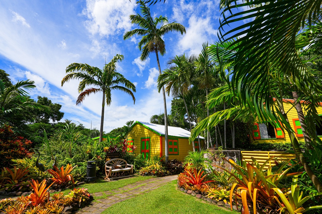 st kitts and levis golden visa application.jpg