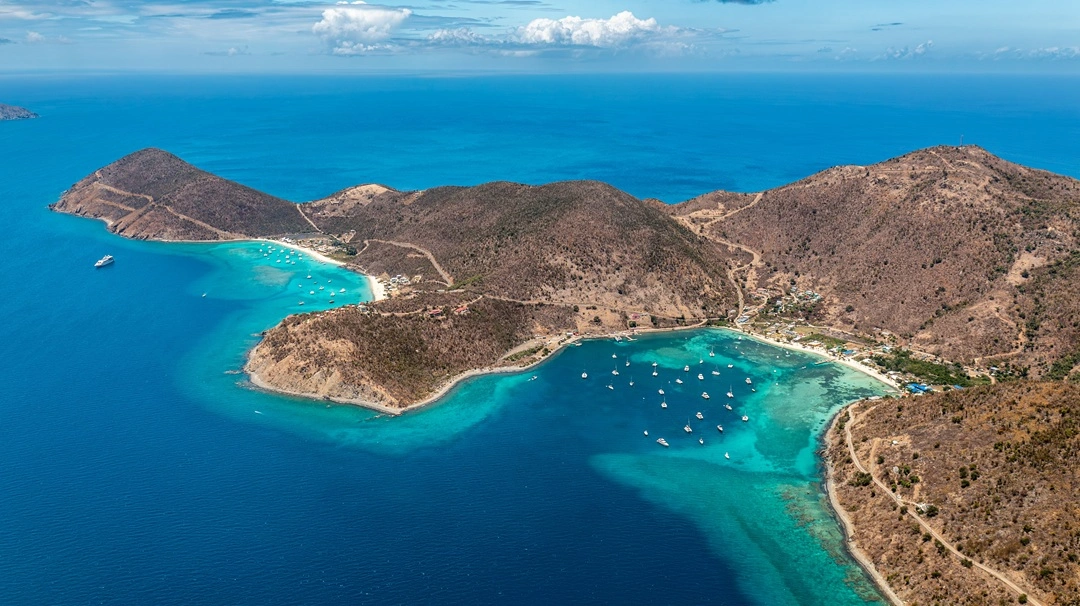 Digital Asset License in the British Virgin Islands