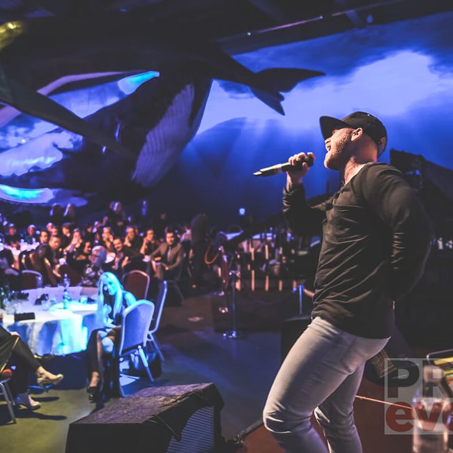 Whales of Iceland - Venue