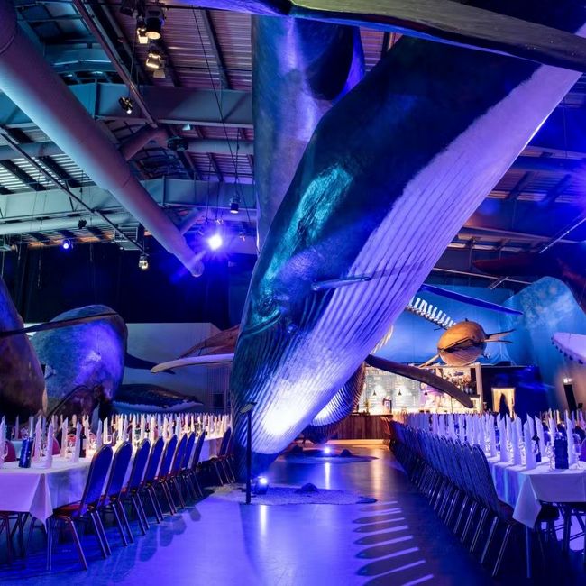 Whales of Iceland - Venue