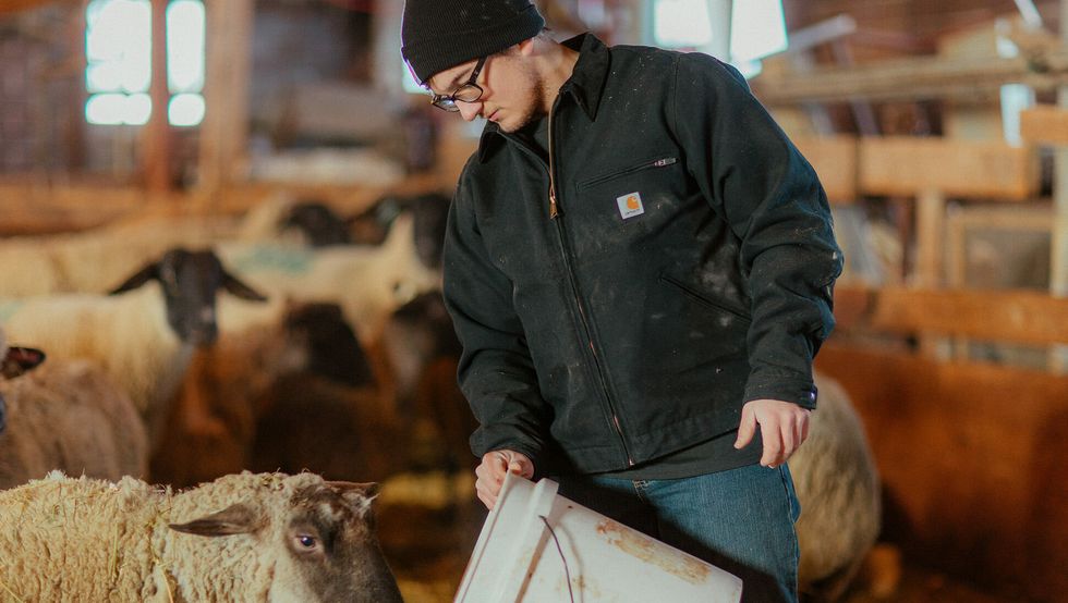 America UK Store Carhartt UK