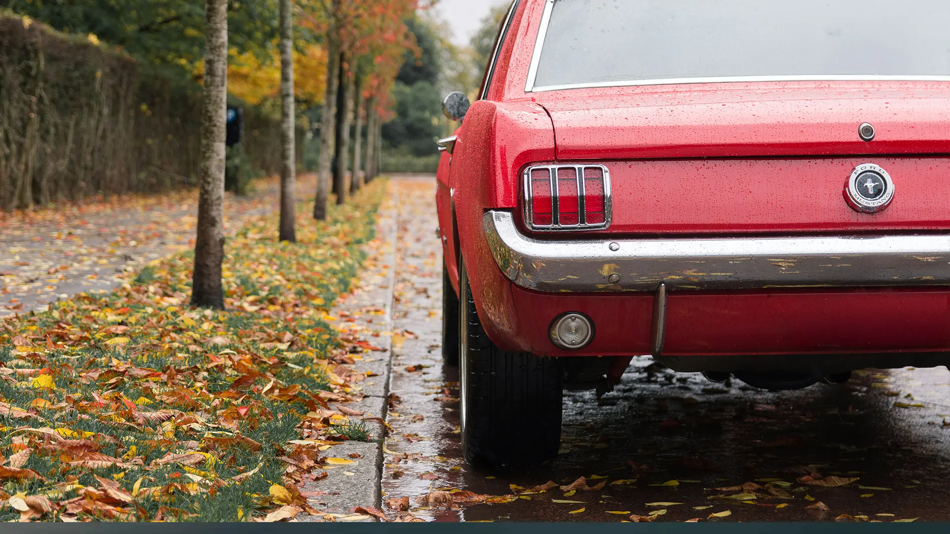 America UK Store Adrian Flux - American Car Insurance 