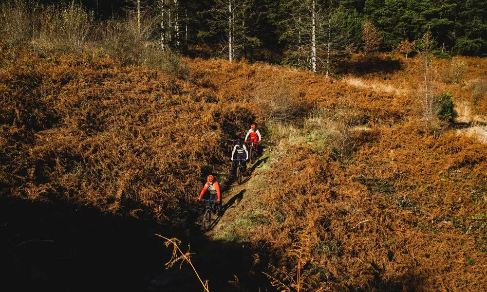 three riders on mountain bikes through bracon