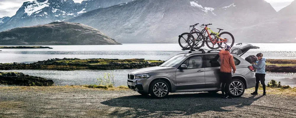 bikes on a bike roof rack