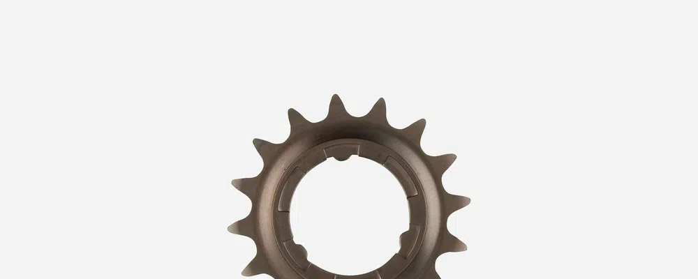 SIngle speed bike cassette