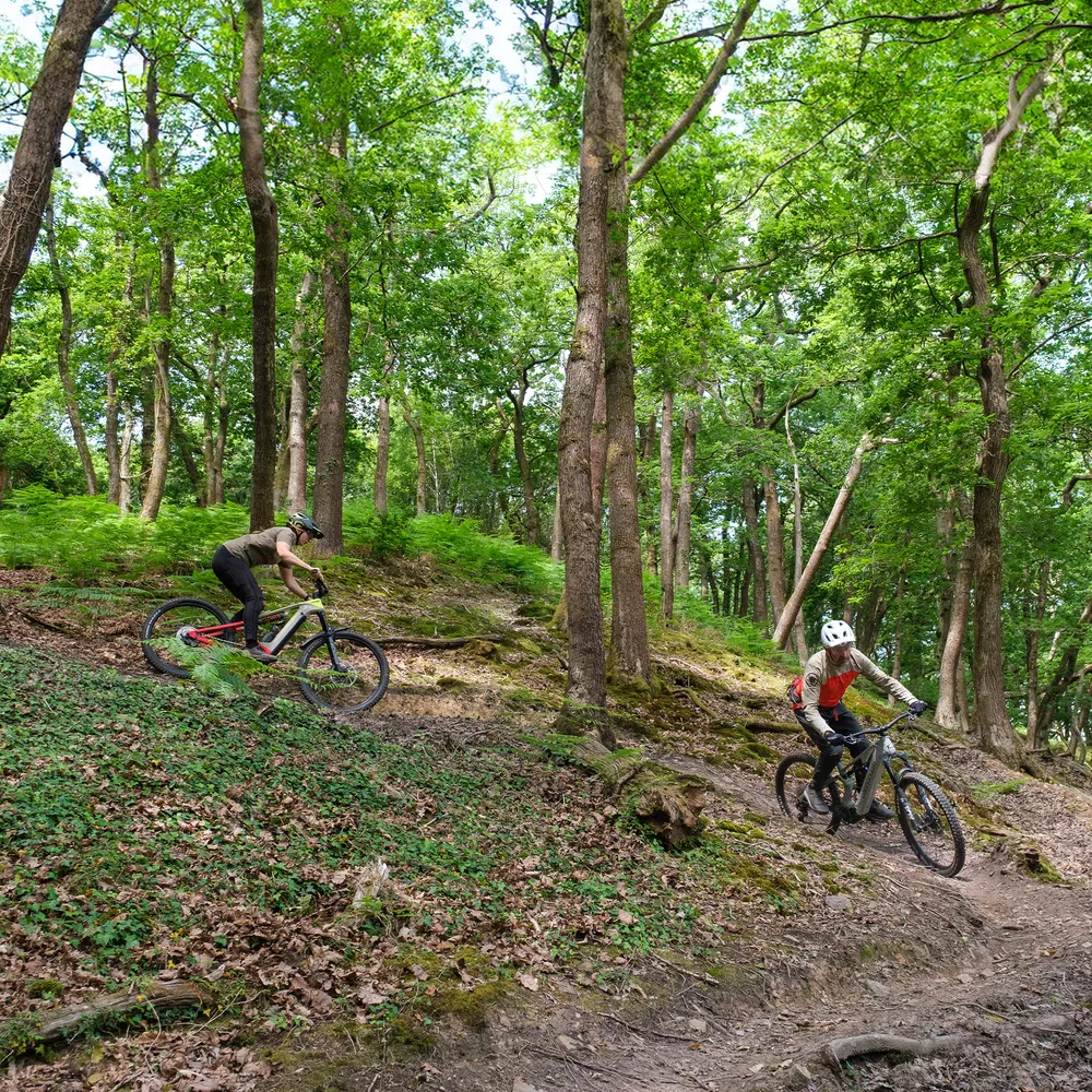 two riders descending through woodland trails on eMTBs 