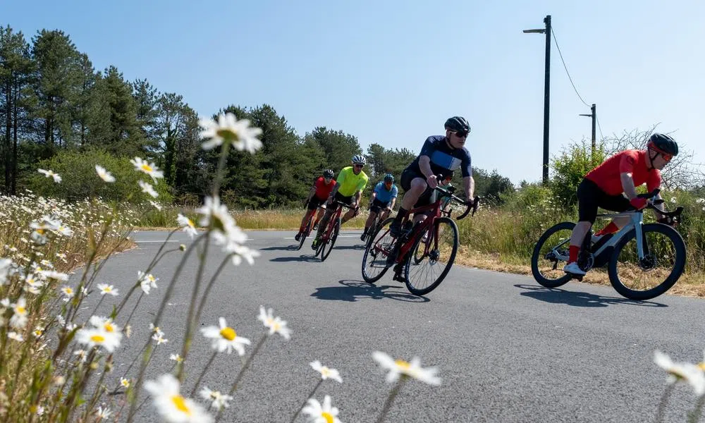 road cyclists riding past flowers on a summer day