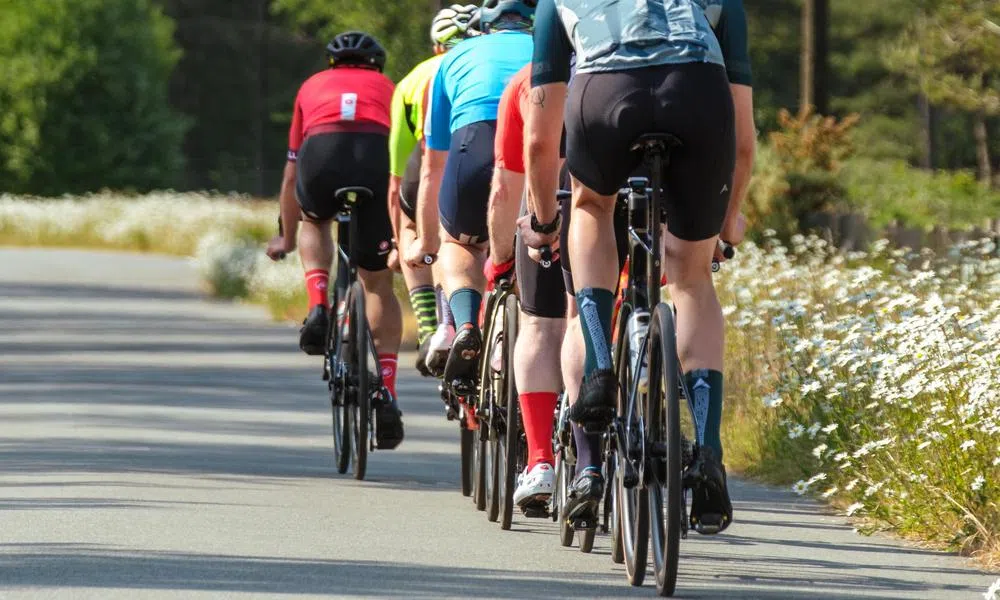 road cyclists riding in a line on a summer day