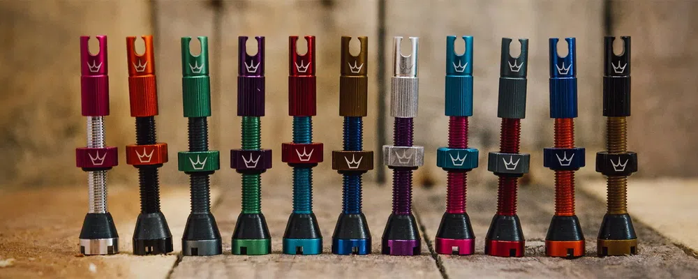 a collection of tubeless valves