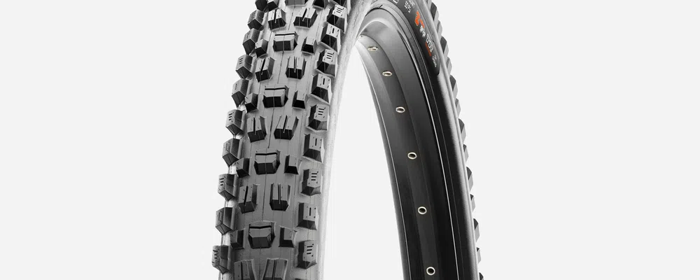 Maxxis assegai 29 tyre