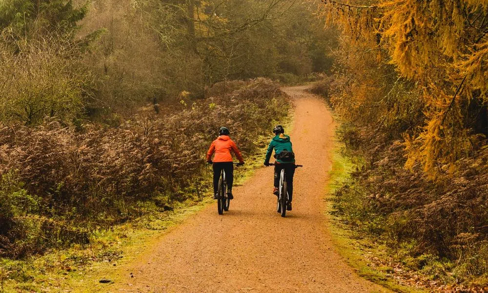 Two MTB riders riding through an orange wood