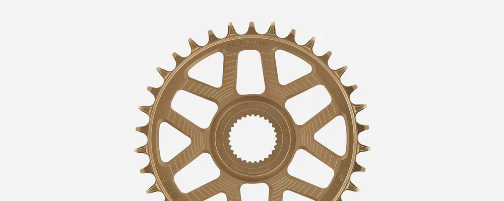 e-bike chainring