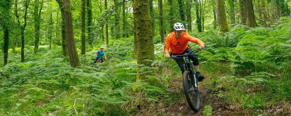 Riding Merida Mountain Bikes in the woods