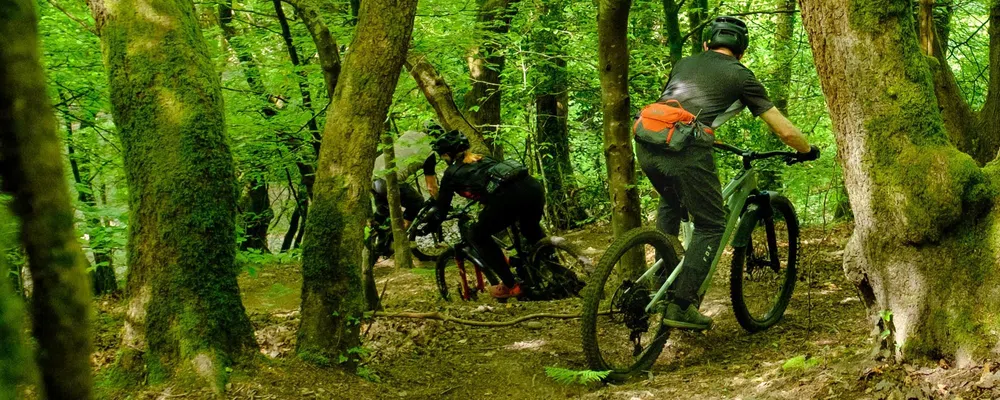 riding mountain bikes down a steep trail in the woods