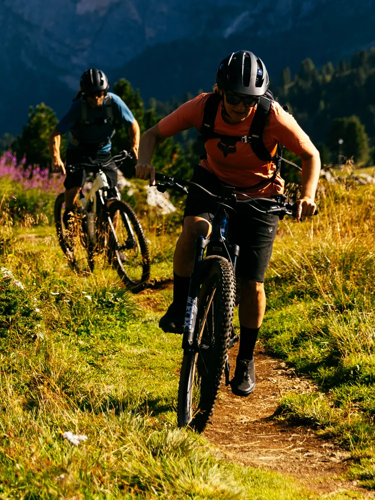Trek Powerfly