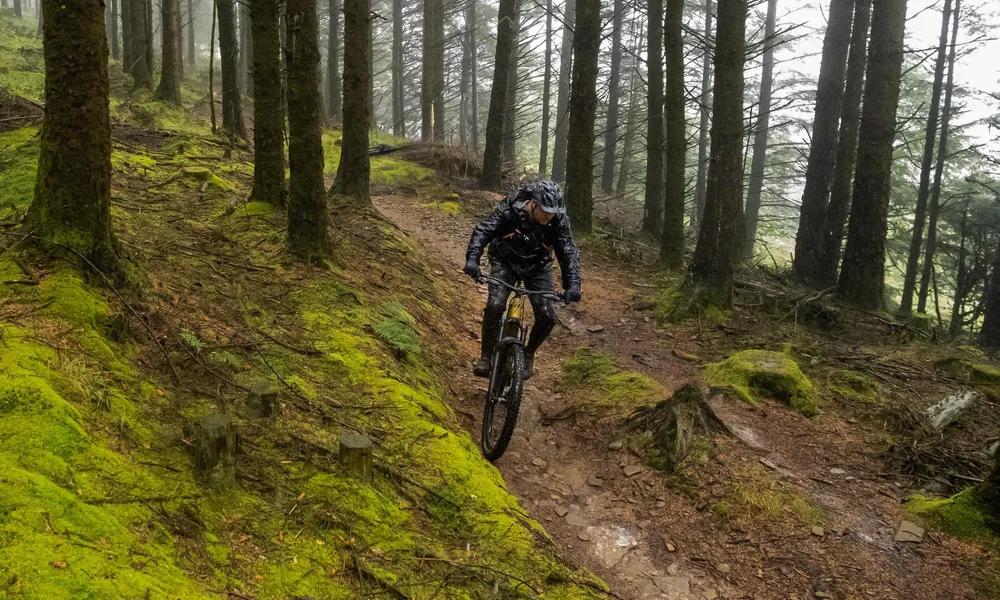 Black Friday - Now On