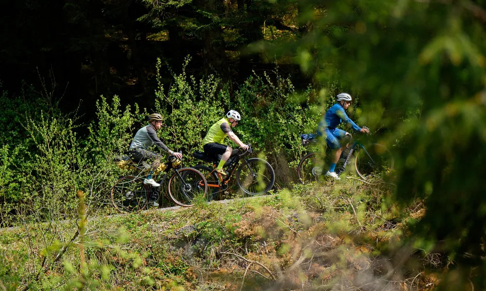 Black Friday - Gravel Bikes