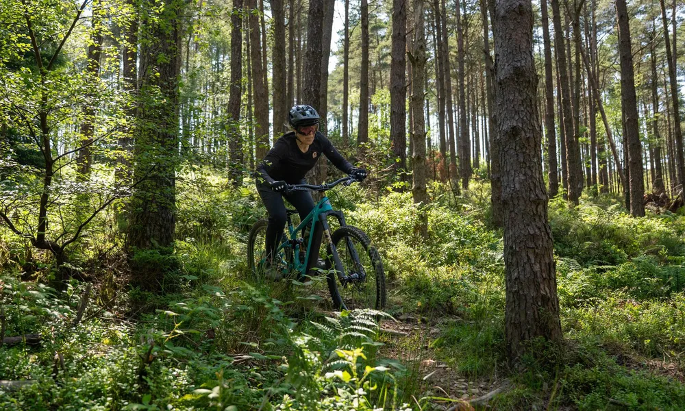 Black Friday - Electric Bikes