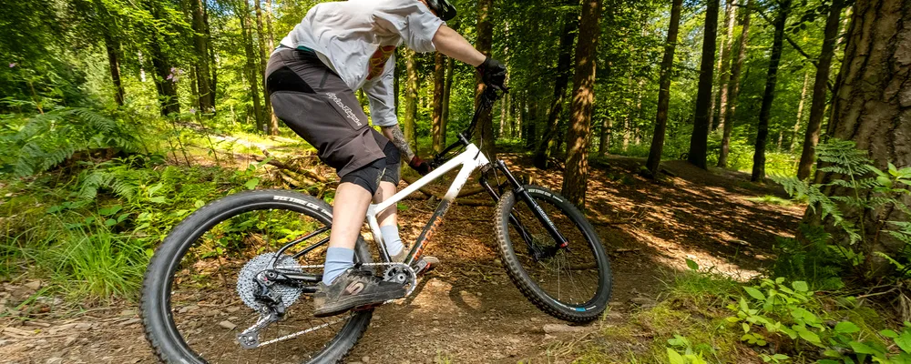 A mountain bike rides past