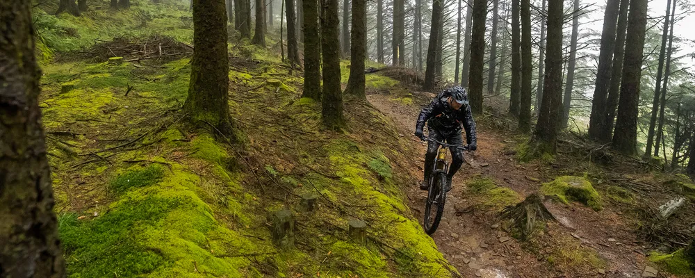 riding through the trees on an electric mountain bike