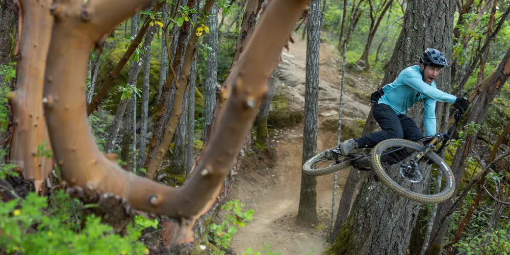 Trek - Mountain Bikes