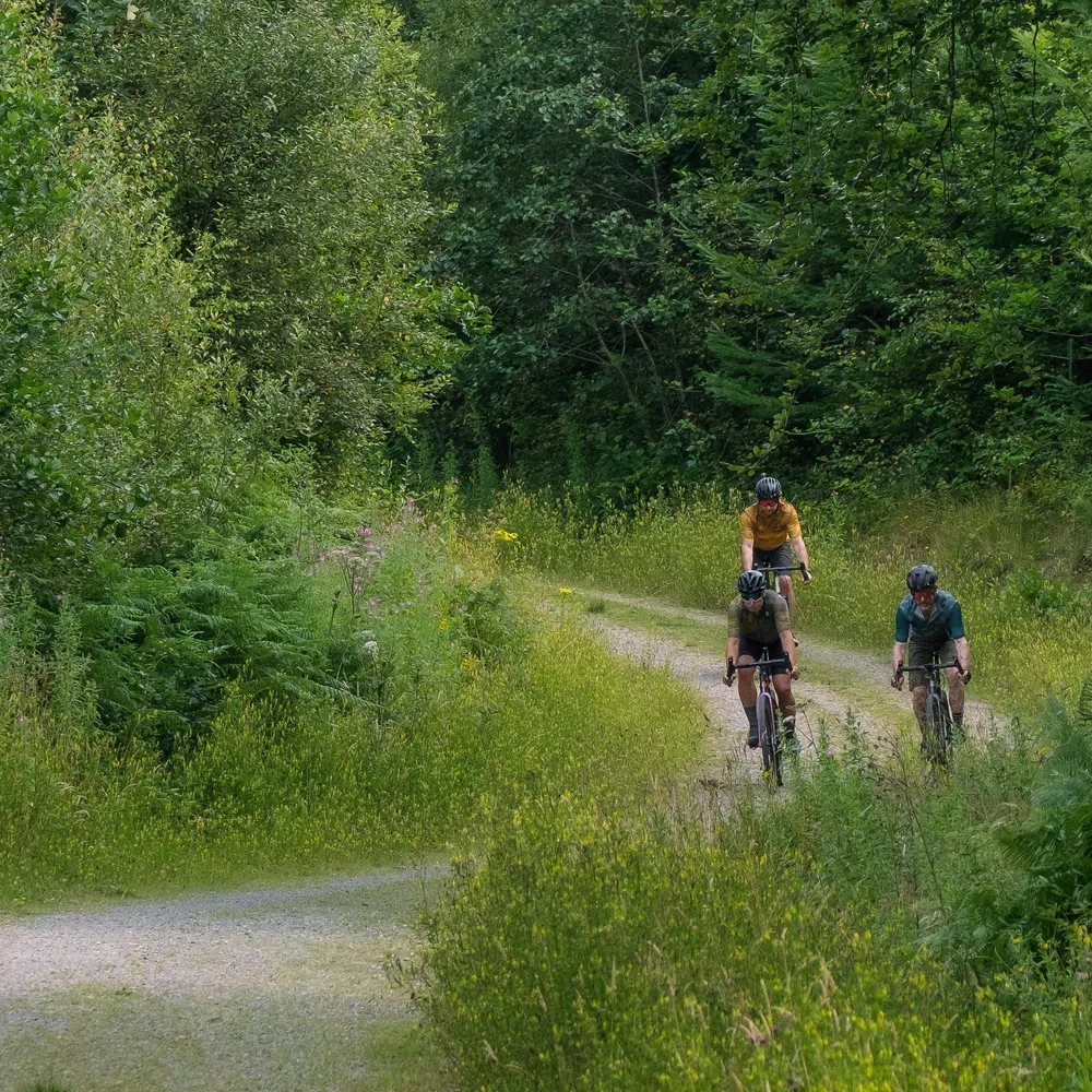 three gravel bike riders in the forest on a sunny day