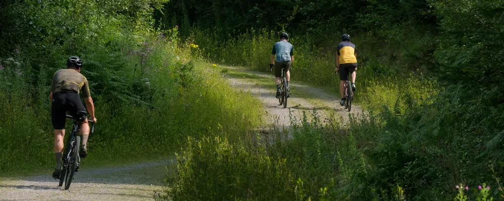 Three cyclists riding gravel bikes on a gravel road in the woods o a summer day