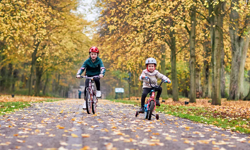 Two kids riding bikes down a leafy autumn road