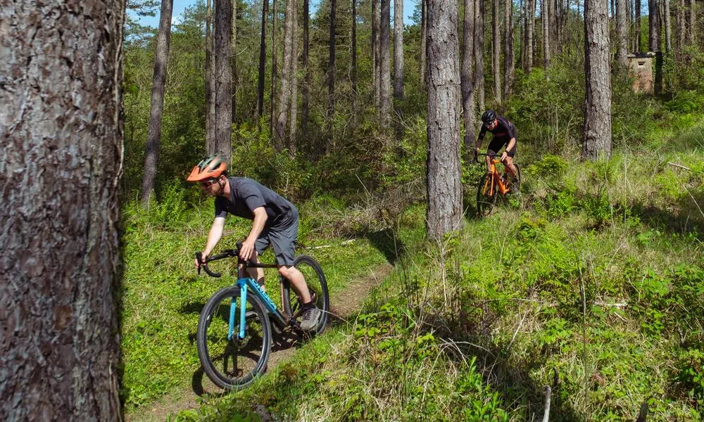 two gravel bikes ride through the woods