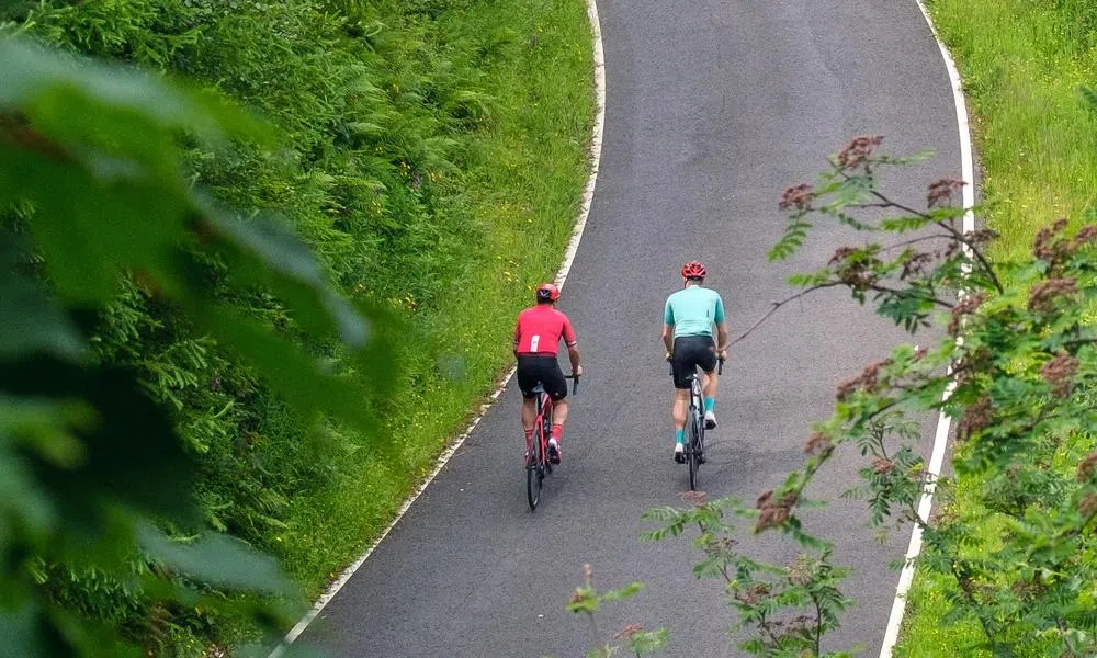 Two road cyclists climbing on a road with green verges