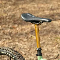 Dropper posts