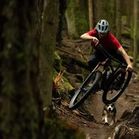 Bontrager MTB Tyres